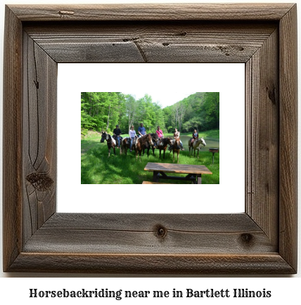 horseback riding near me in Bartlett, Illinois